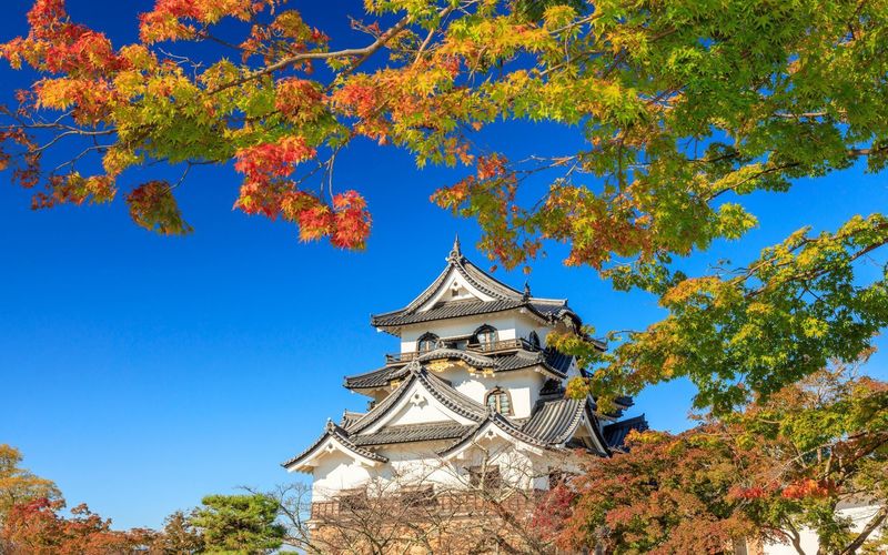 彦根城に紅葉を見に行こう 年の最新紅葉情報をお届け Aumo アウモ