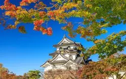 彦根城に紅葉を見に行こう♪2020年の最新紅葉情報をお届け