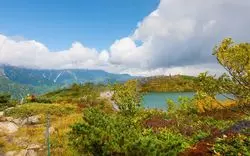白馬で紅葉狩りをしよう！観光もできちゃうおすすめスポット6選