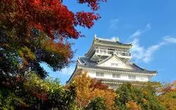 【岐阜紅葉】2019年秋の観光スポットはここ☆岐阜の見どころ満載