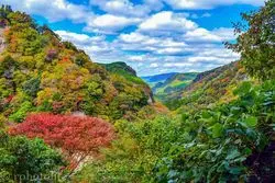 まさに絶景☆壮大な大自然の紅葉を味わって～九重の秋～