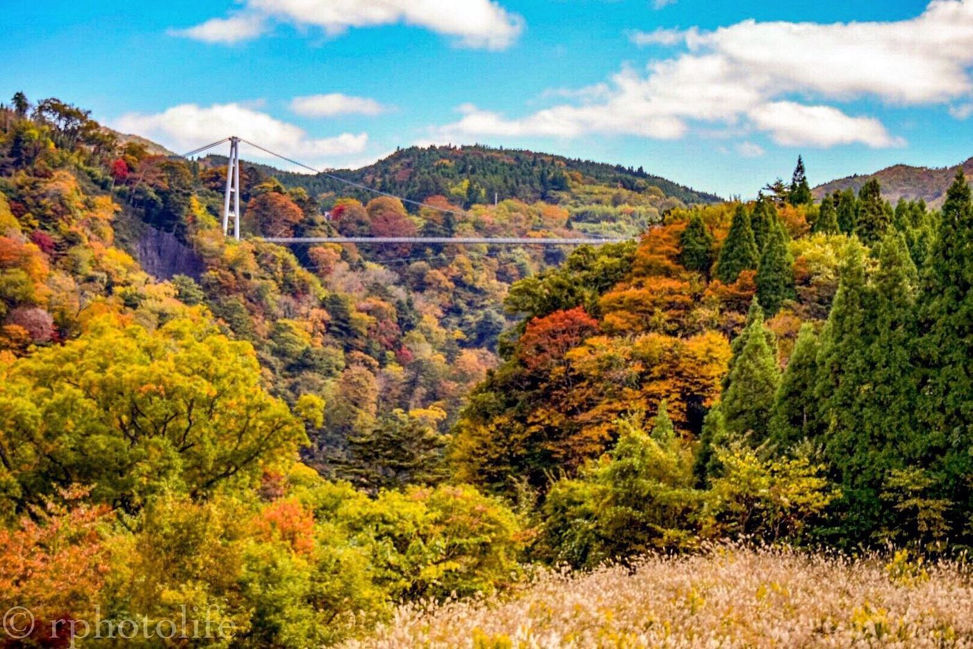 まさに絶景☆壮大な大自然の紅葉を味わって～九重の秋～の画像