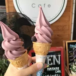 山形で秋の味覚を♪ぶどう狩りと自然を満喫！