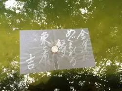 女子旅にもぴったり♡島根のおすすめ観光スポット～