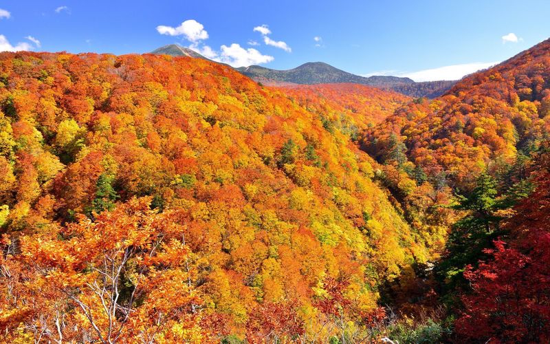 2020】紅葉の名所・八甲田山！初心者向けコースや見どころ紹介 | Aumo