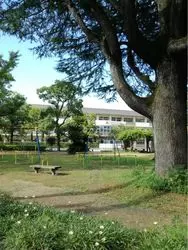 【高知でお散歩】木陰でのんびり子どもと遊ぶ