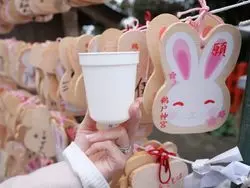 命の授かりに願いを込めて♡宮崎のパワースポット巡り