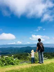 大川原高原の紫陽花を紹介！
