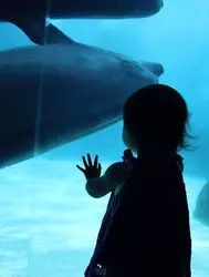 夏休み最終日！名古屋港水族館で涼しく過ごす☆