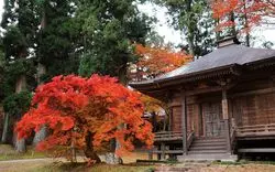 【平泉】中尊寺の紅葉情報！見頃や混雑情報をチェックしよう♪