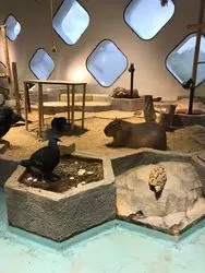 みじかで動物に触れ合えるニフレル