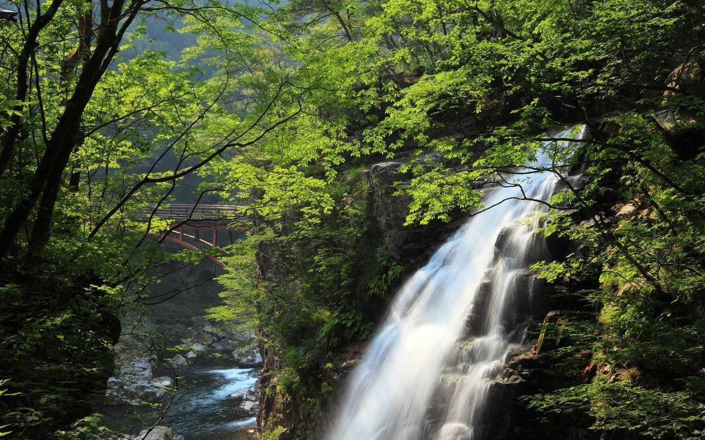 旅行するなら日帰りでも行ける鬼怒川！人気の観光スポット6選☆の画像
