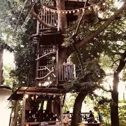 【千葉】非日常空間♡ツリーハウスのある森カフェをご紹介！