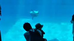みんな大好き♡名古屋港水族館
