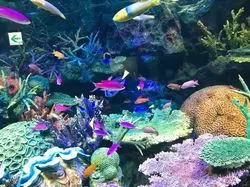 サンシャイン水族館は都会のオアシス！デートにも最高な魅力を解説♡