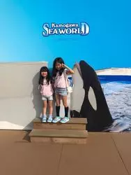 鴨川シーワールドに行ってきました🐬