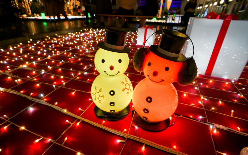 クリスマスイルミネーション　ライト　サンタ　くま レア】クリスマス イルミネーション ライト サンタ くま 屋外 【公式通販】