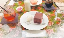 【神戸】女性はうっとり♡花のテーブルが映えるフラワーカフェへ！