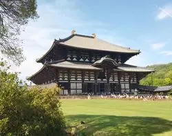 【奈良観光】改めて行ってみた。奈良の魅力を伝えたい！
