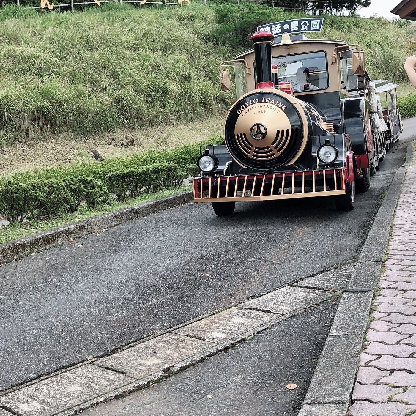 の画像