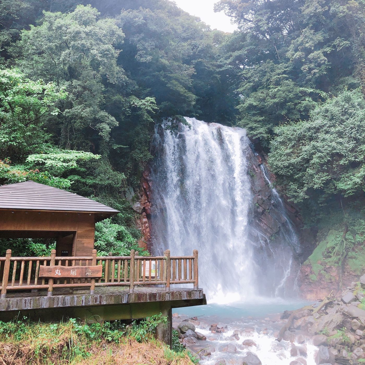 の画像