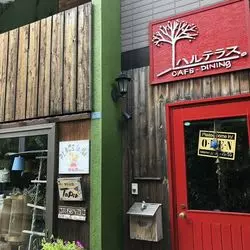 子連れランチにおすすめ！♡札幌にある古民家カフェ「ハルテラス」