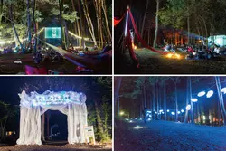 【注目の映画野外フェス！】魅力満点の「夜空と交差する森の映画祭」