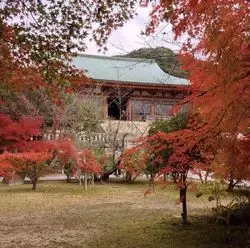 【兵庫】国宝・太山寺の麓！自然の中で美味しい珈琲を愉しみませんか？