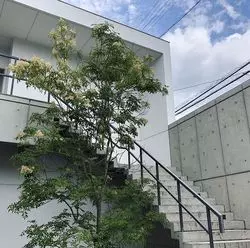瀬戸市にある素敵カフェ！「マカロニカフェ＆ベーカリー」をご紹介◎