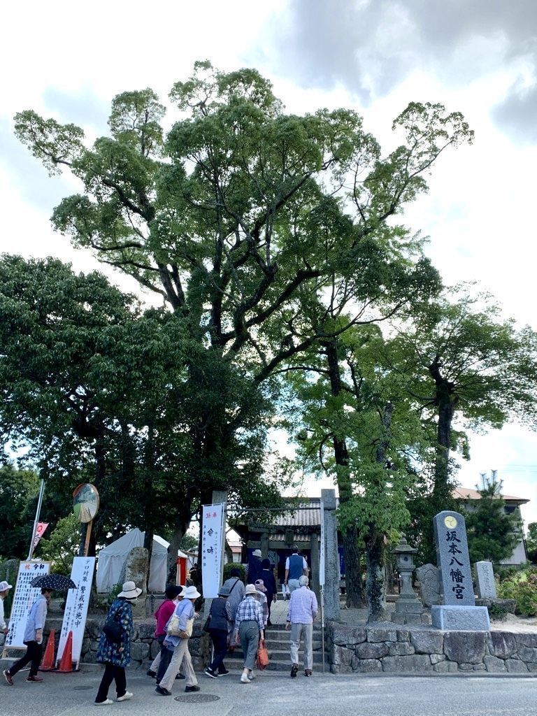 令和の由来！福岡で歴史的な大宰府を訪ねてはいかが！？の画像