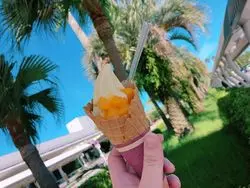 グルメ巡りはかかせない♡宮崎で絶品グルメを堪能しよう！