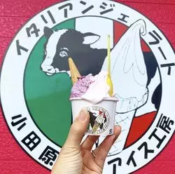 小田原で発見♡地産地消の激ウマジェラート店！