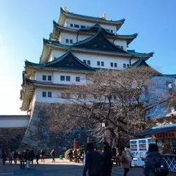 名古屋の定番観光地♪美しい名古屋城にうっとり