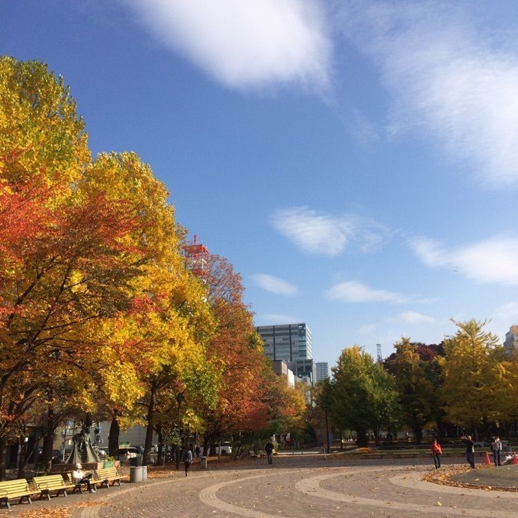 札幌ビューホテル大通公園