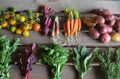 大神ファーム レストラン(オオガファーム レストラン)