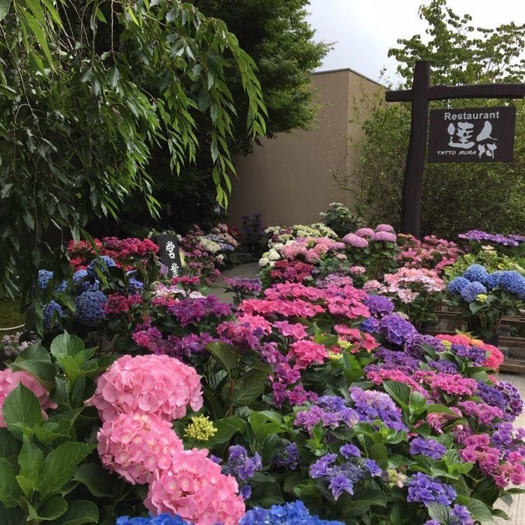 達人村喫茶山ぼうし