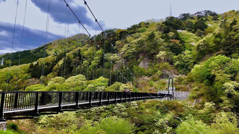 鬼怒楯岩大吊橋