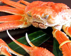 海の幸食処 えちぜん