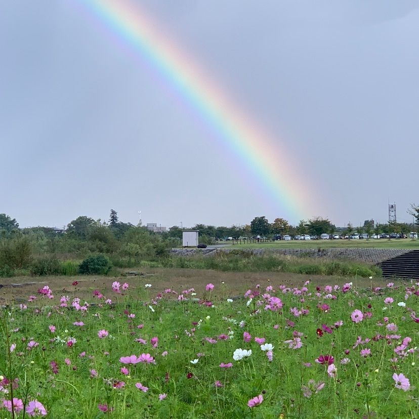 道の駅 寒河江 チェリーランド