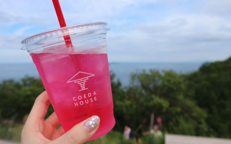 コエダハウス（COEDA HOUSE）