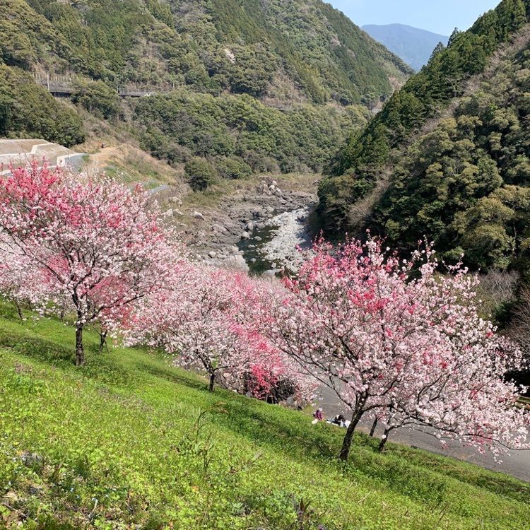 ドライブイン引地橋