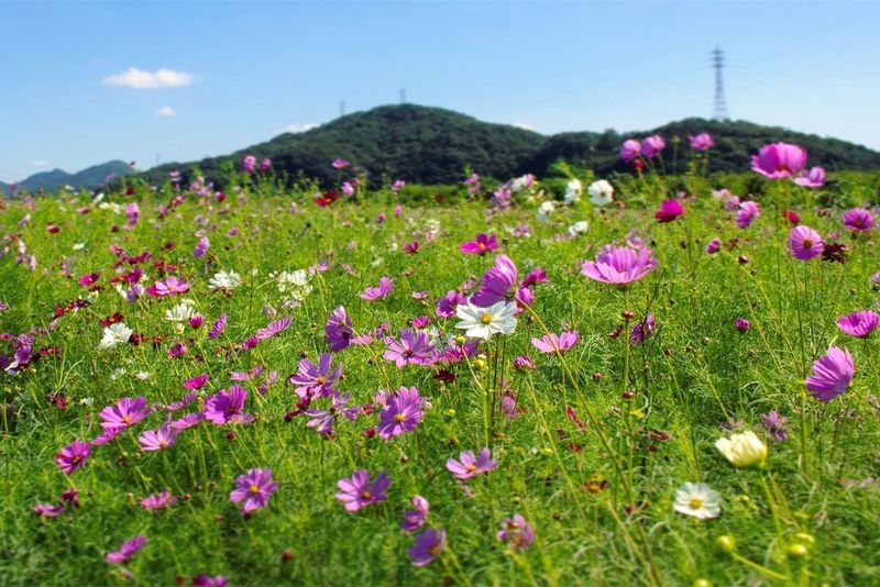 道の駅 笠岡ベイファーム