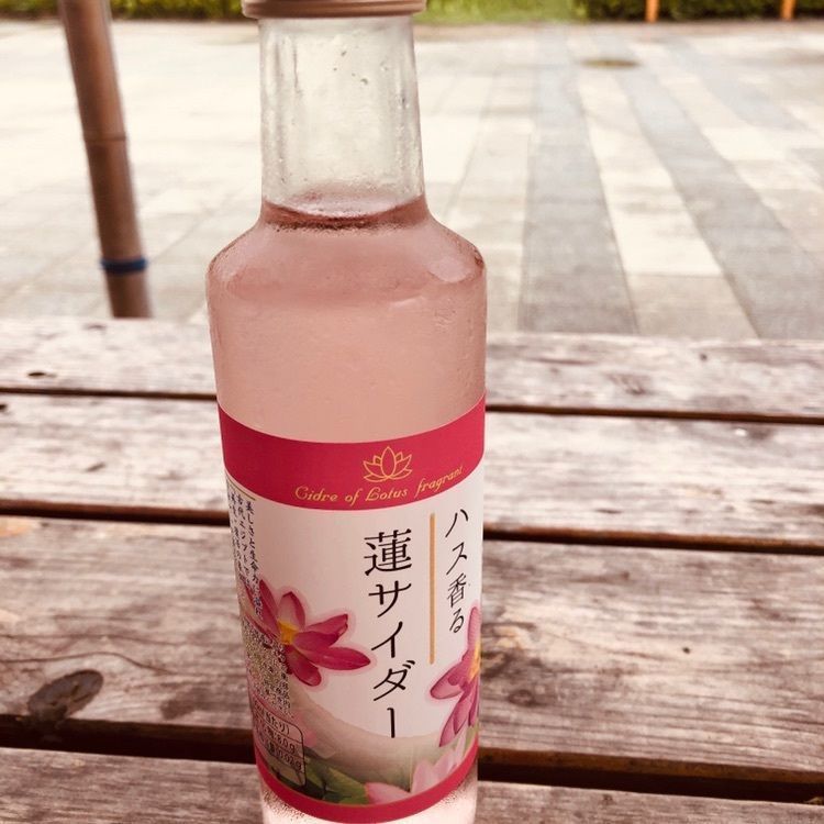 古代蓮の里 売店