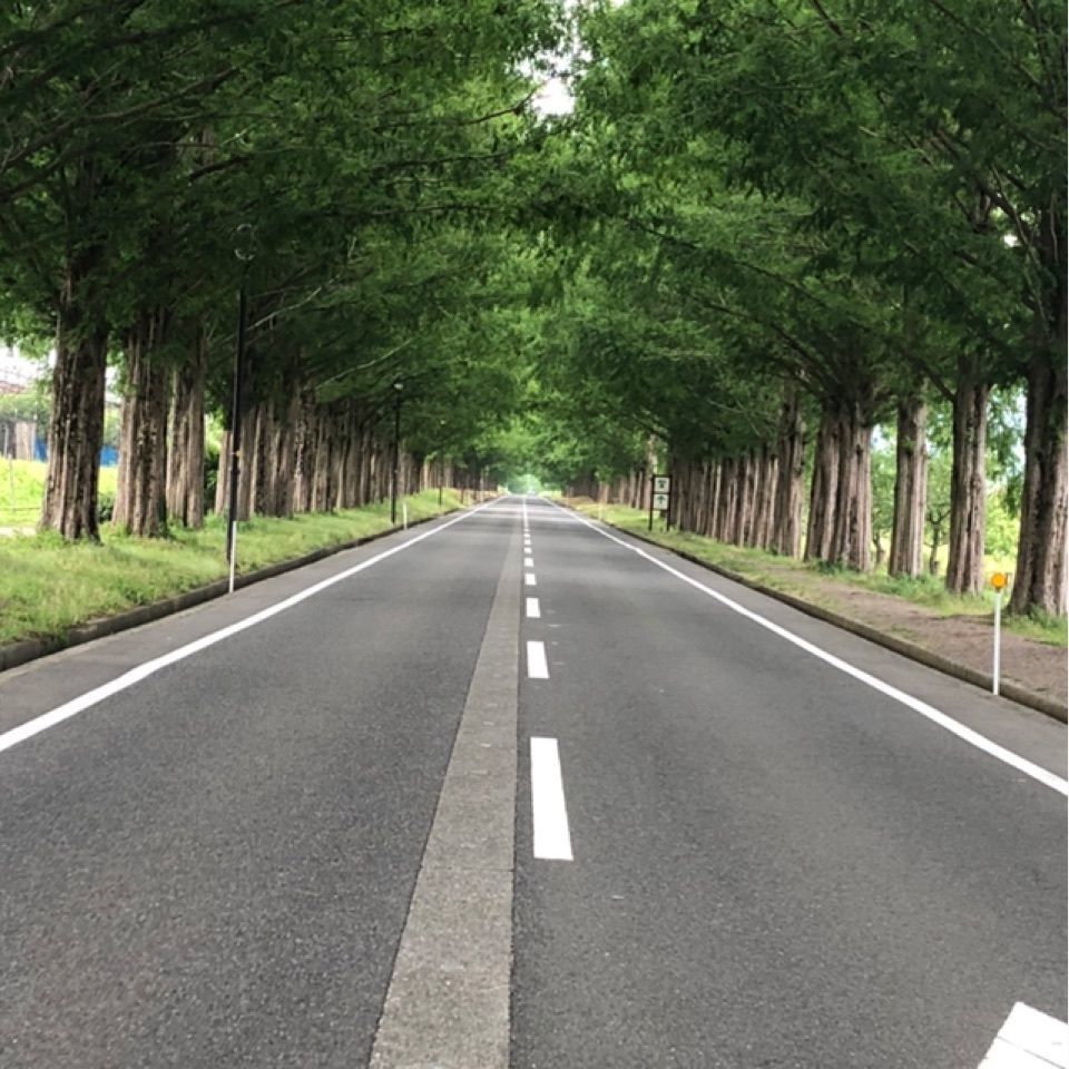 マキノピックランド　センターハウス