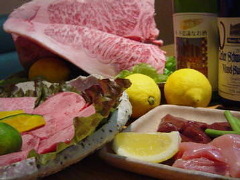 Sagamihara 欅(ケヤキ)