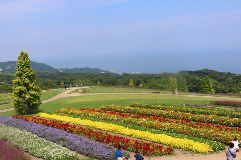 あわじ花さじき