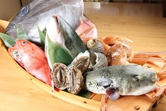 うなぎの魚伊 本店（うおい）