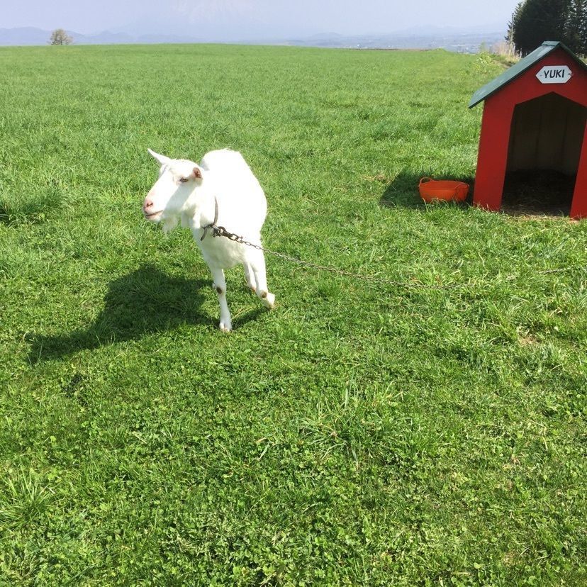 レークヒル・ファーム（Lake-Hill Farm）