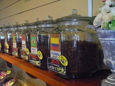 フジエダハウス