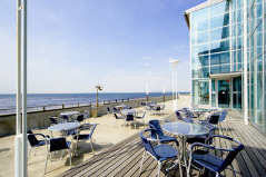 ザ・フィッシュ（The Fish）